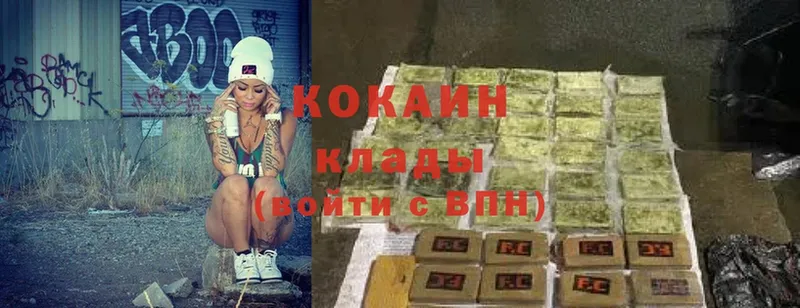 Cocaine Fish Scale  как найти закладки  Кузнецк 