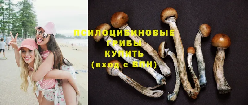 OMG рабочий сайт  Кузнецк  Псилоцибиновые грибы MAGIC MUSHROOMS 